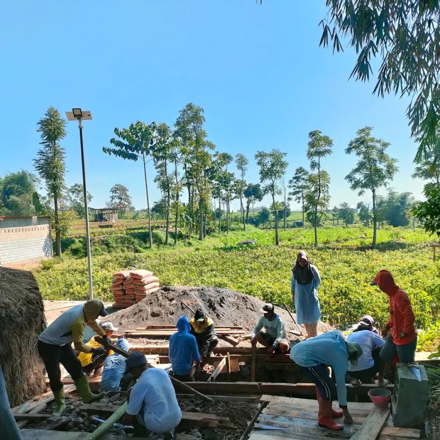 gambar-3