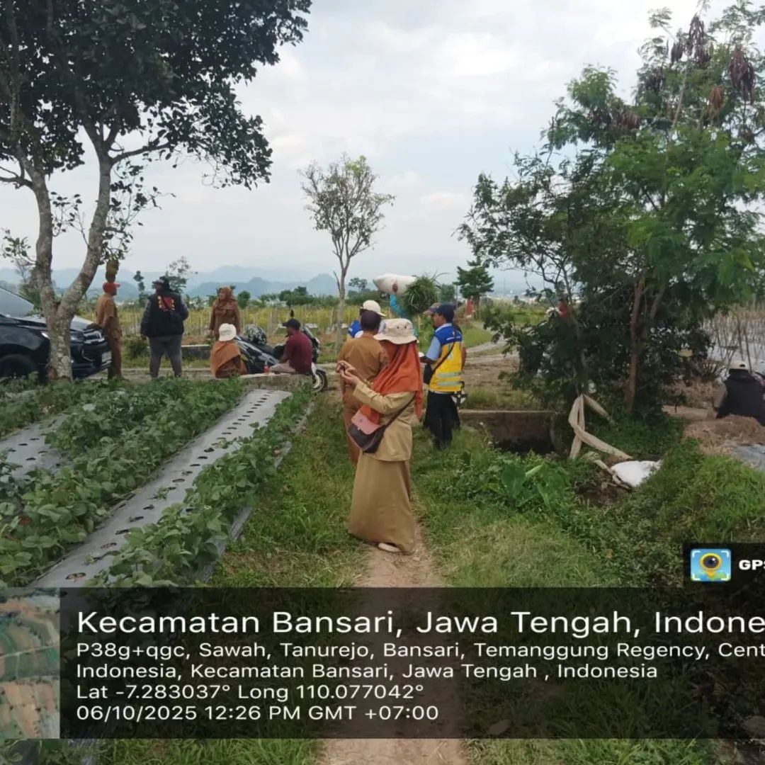 Gambar Berita